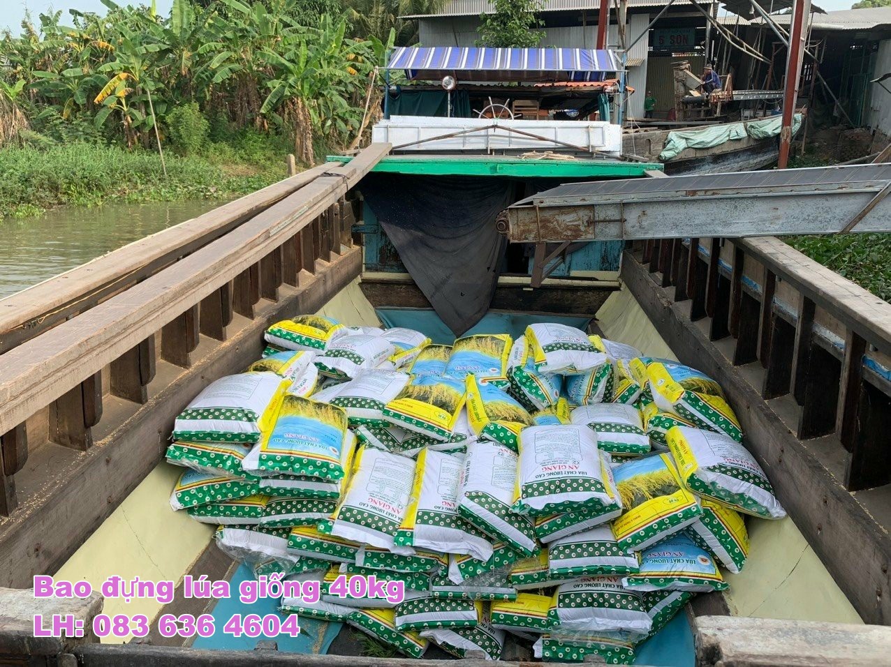 BAO LÚA GIỐNG LOẠI 40KG CÓ SẴN - THIẾT KẾ THEO YÊU CẦU