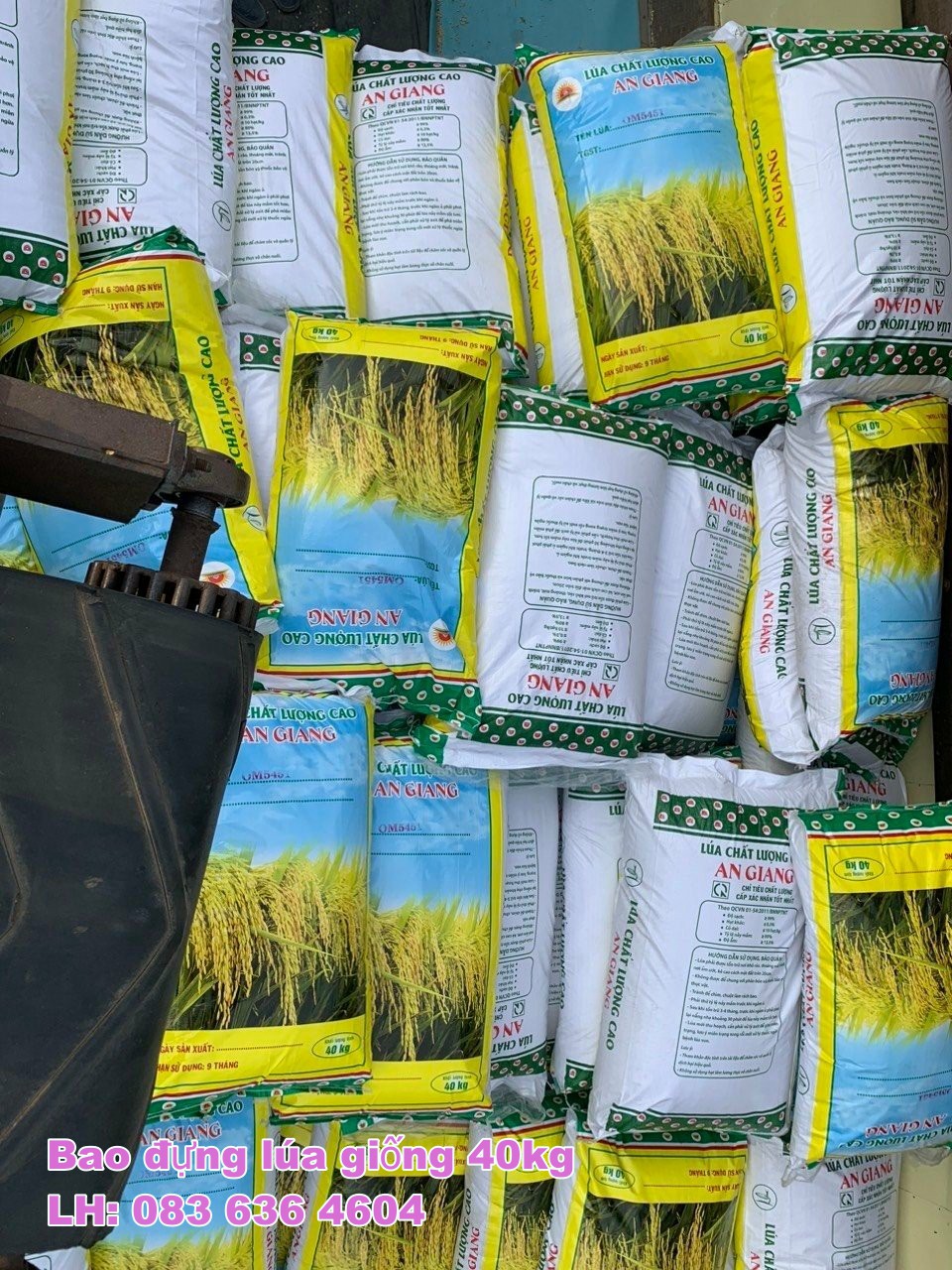 BAO LÚA GIỐNG LOẠI 40KG CÓ SẴN - THIẾT KẾ THEO YÊU CẦU