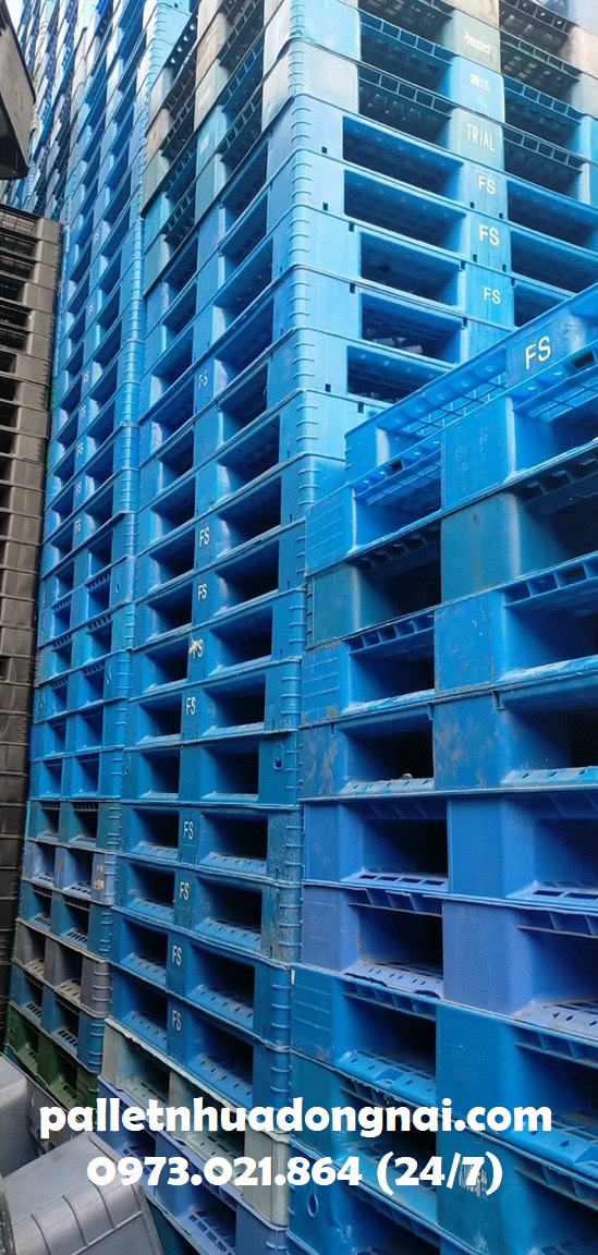 Pallet nhựa tại Đăk Lăk, liên hệ 0973021864