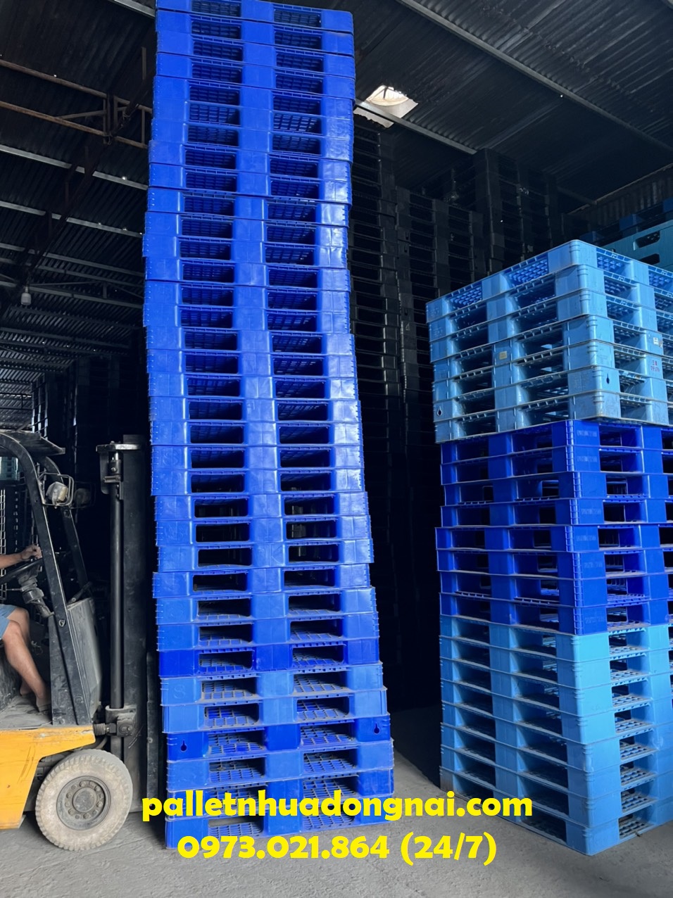 Pallet nhựa tại Đăk Lăk, liên hệ 0973021864