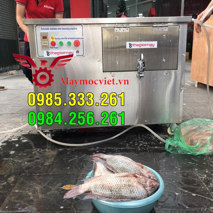 Máy đánh vẩy cá lóc, chuyên phục vụ chợ hải sản Bến Thành