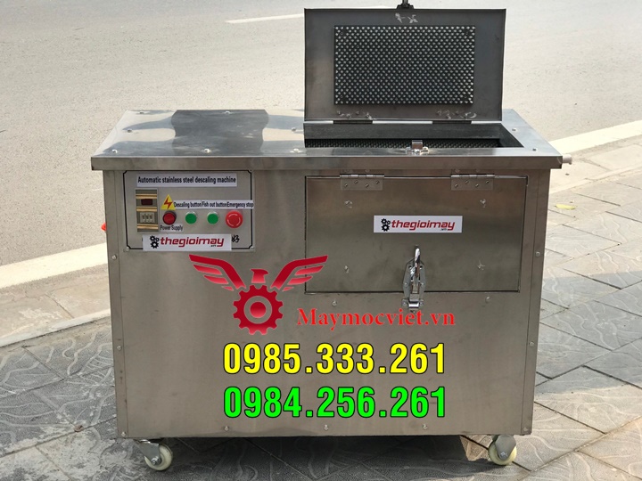 Máy đánh vẩy cá lóc, chuyên phục vụ chợ hải sản Bến Thành