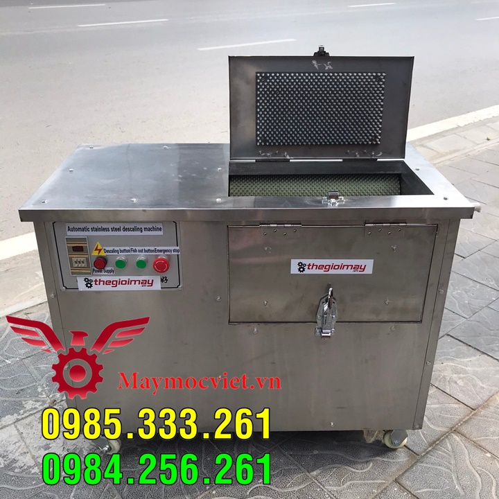 Máy đánh vẩy cá lóc, chuyên phục vụ chợ hải sản Bến Thành