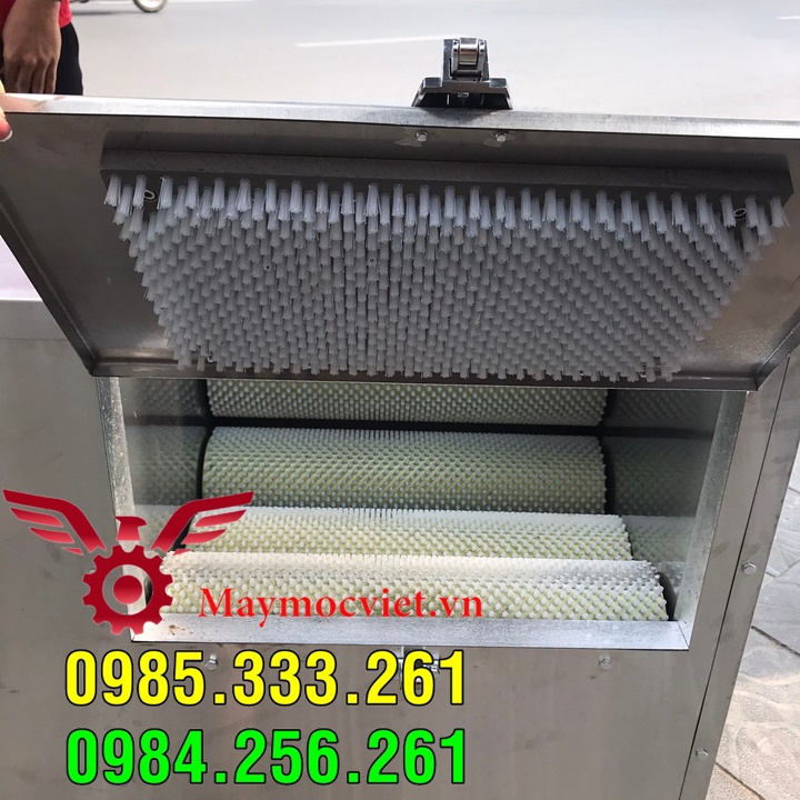 Máy đánh vẩy cá lóc, chuyên phục vụ chợ hải sản Bến Thành