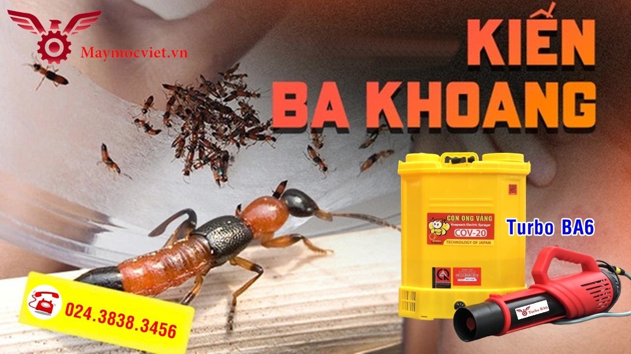 Tất tần tất về kiến ba hoang- Cách phun hóa chất tiêu diệt kiến số 1