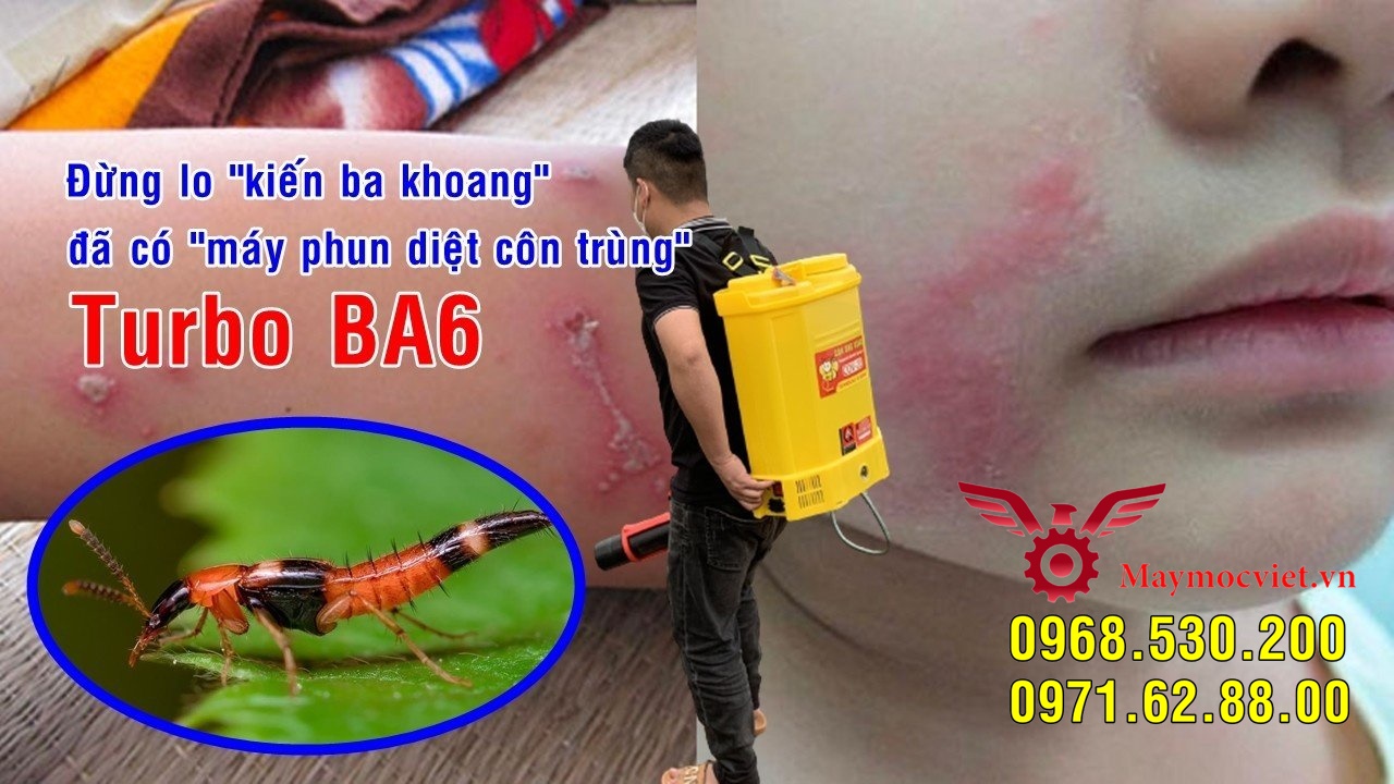 Tất tần tất về kiến ba hoang- Cách phun hóa chất tiêu diệt kiến số 1