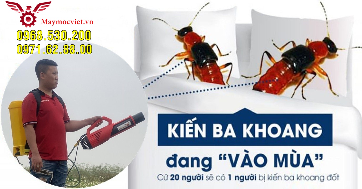 Tất tần tất về kiến ba hoang- Cách phun hóa chất tiêu diệt kiến số 1