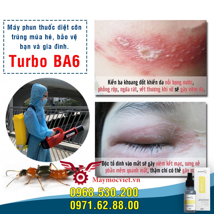 Tất tần tất về kiến ba hoang- Cách phun hóa chất tiêu diệt kiến số 1