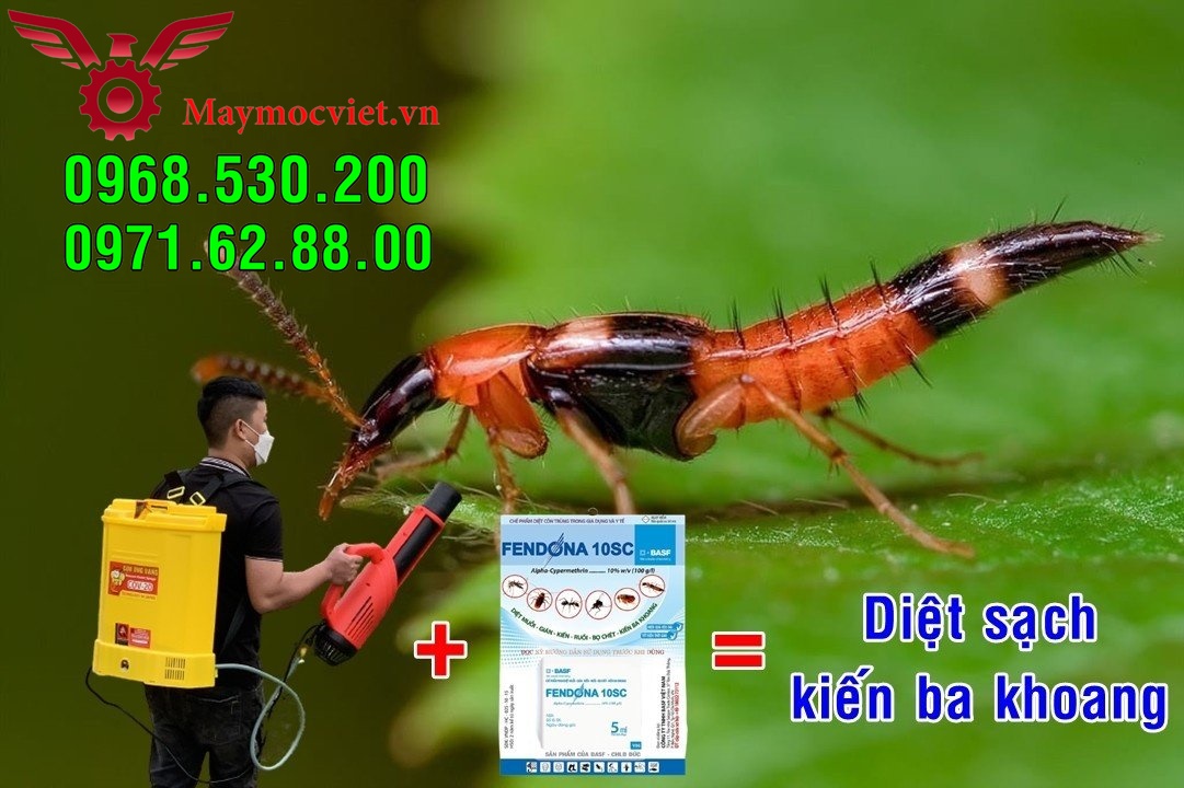 Tất tần tất về kiến ba hoang- Cách phun hóa chất tiêu diệt kiến số 1