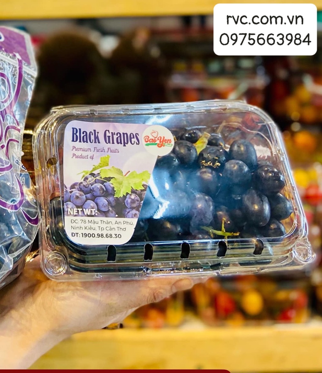 Bỏ túi những mẫu hộp nhựa trái cây 500g đạt chuẩn an toàn thực phẩm