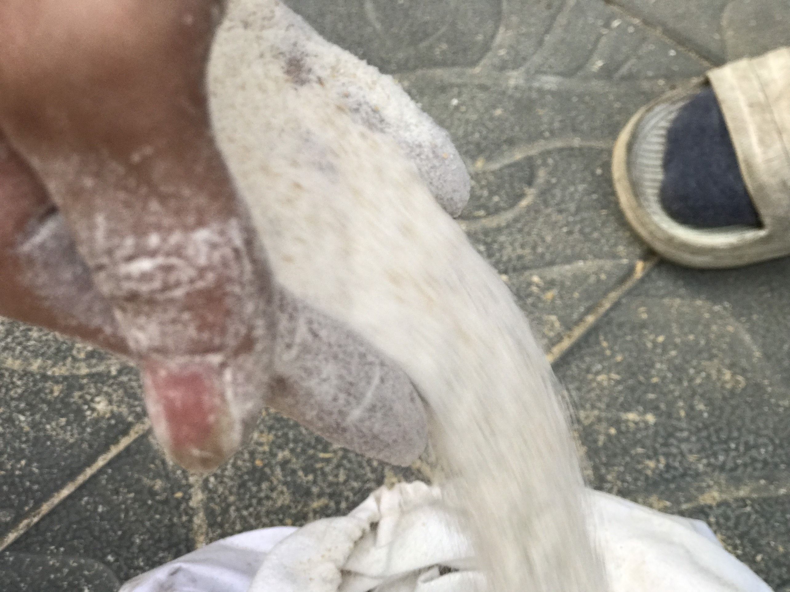 Máy xát gạo gia đình đa chức năng: xát gạo, nghiền ngô nghiền cám