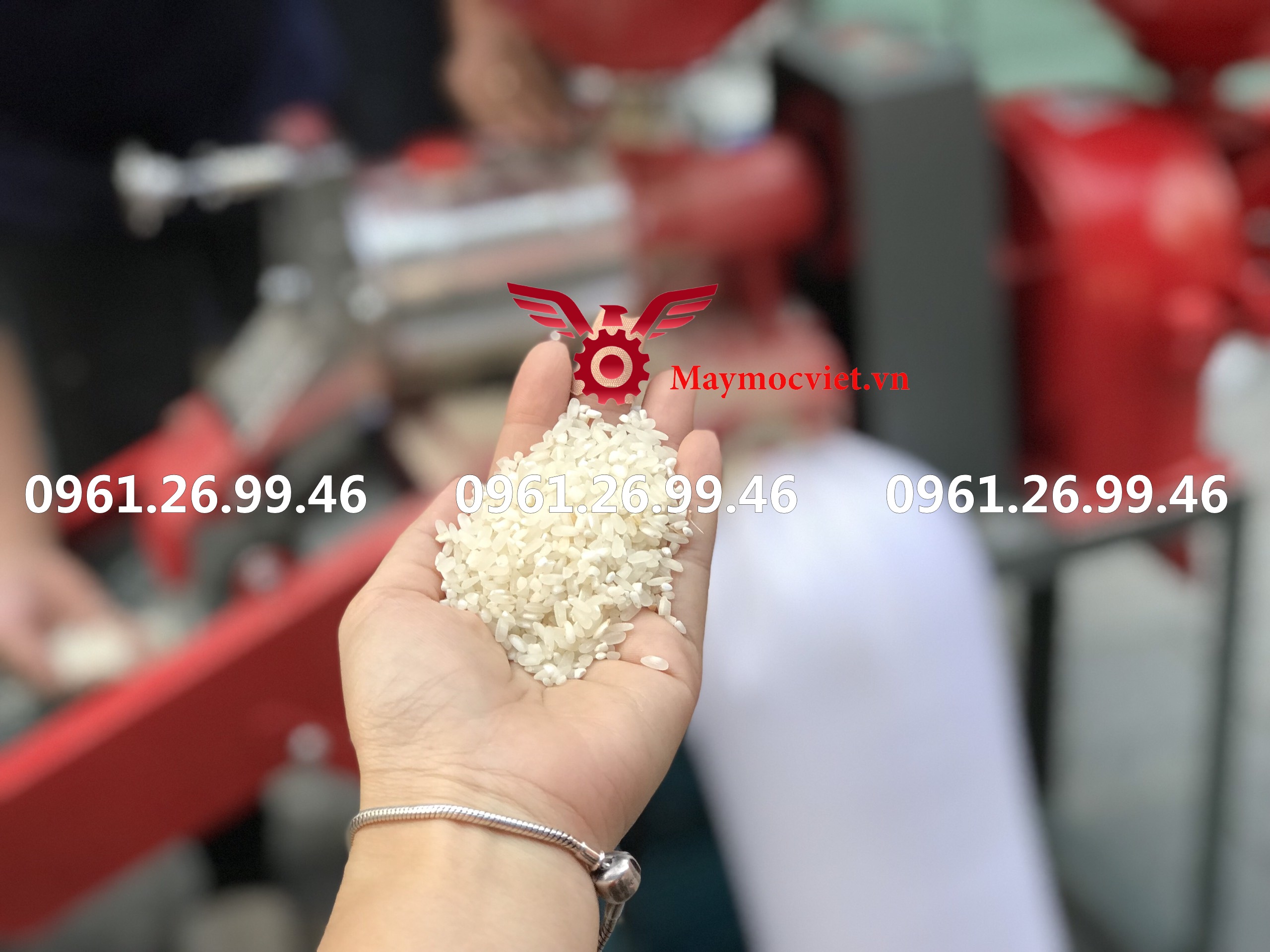 Máy xát gạo gia đình đa chức năng: xát gạo, nghiền ngô nghiền cám