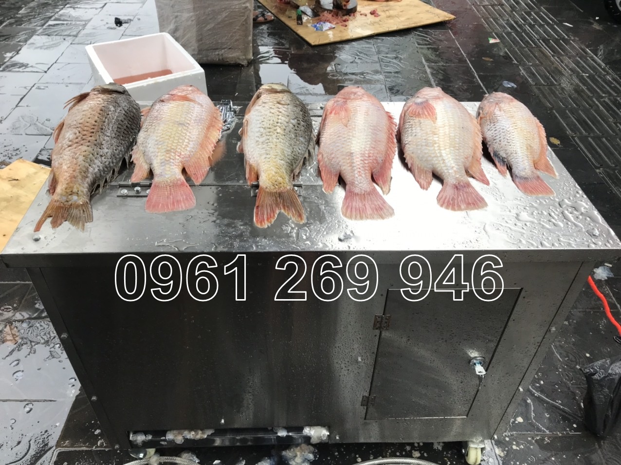 Máy đánh vảy cá tự động siêu nhanh, siêu sạch Vinmax VM500