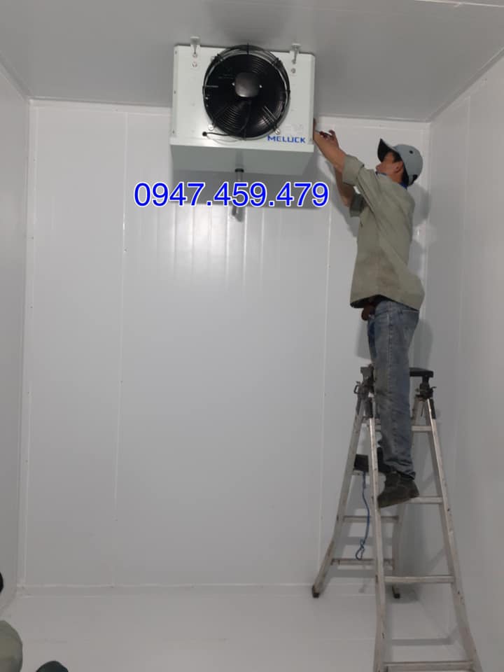 Thi công kho lạnh bảo quản tôm càng xanh tại Cà Mau