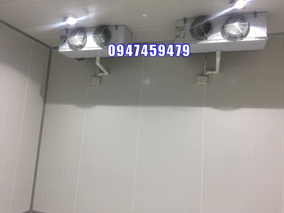 Thi công kho lạnh bảo quản tôm càng xanh tại Cà Mau