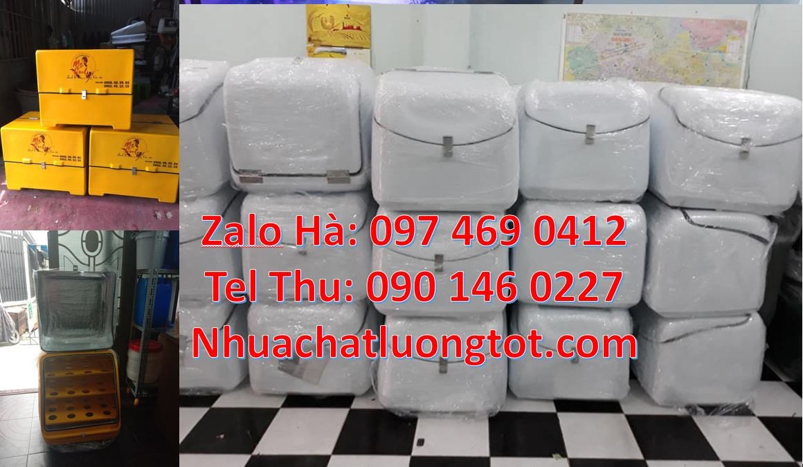 thùng giao hàng đằng sau xe máy,thùng giao đồ ăn uống,thùng hàng giárẻ