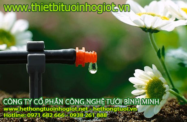 Hệ thống tưới nhỏ giọt 100% khách hàng hài lòng và cách làm