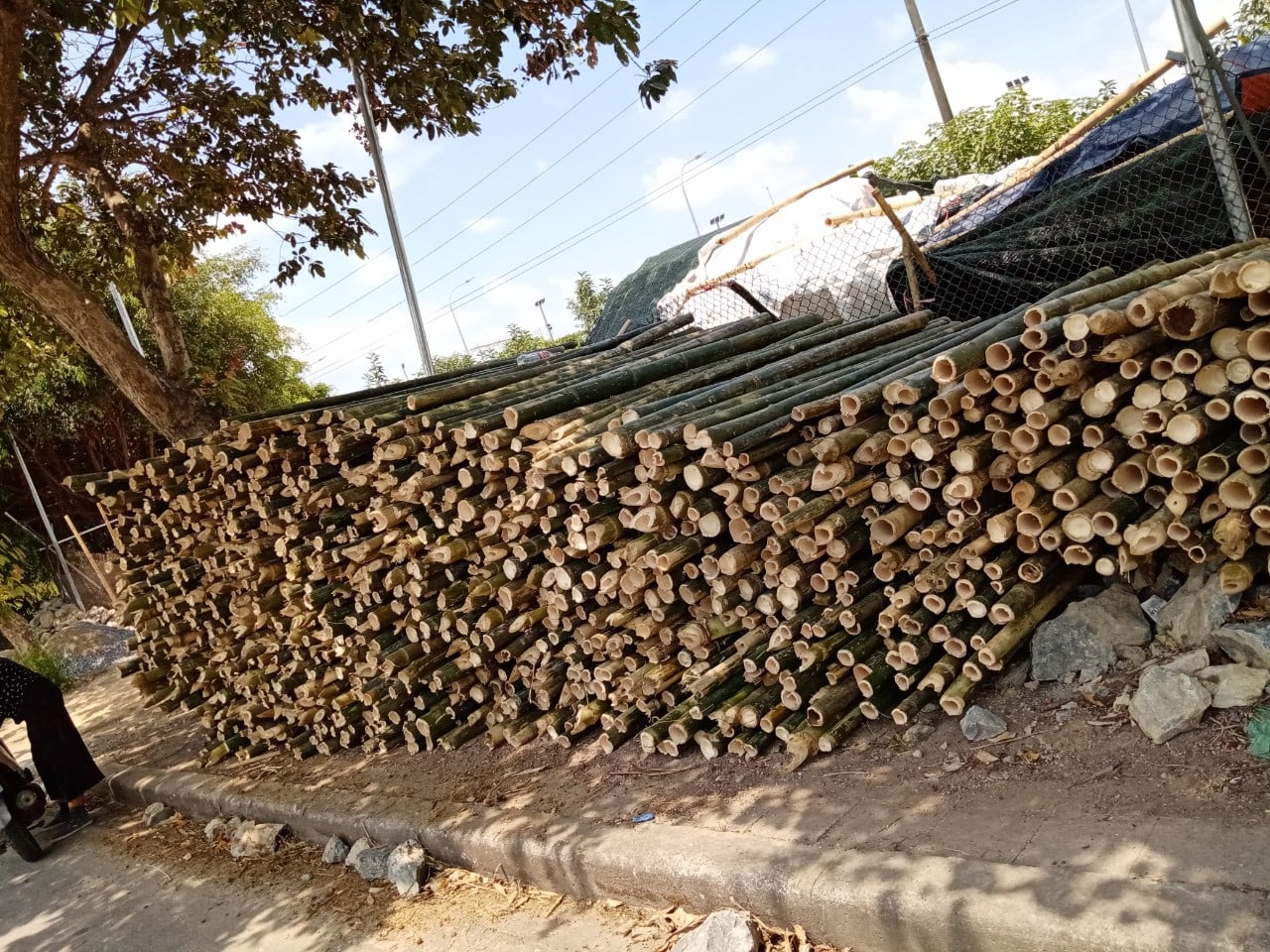 chuyên bán cung cấp cọc tre nứa, sạp, ván gỗ, vãn copha vật liệu dựng