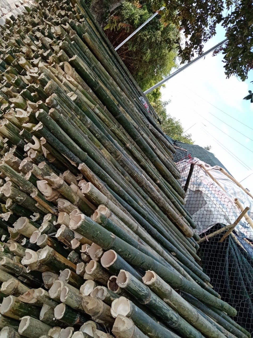 chuyên bán cung cấp cọc tre nứa, sạp, ván gỗ, vãn copha vật liệu dựng