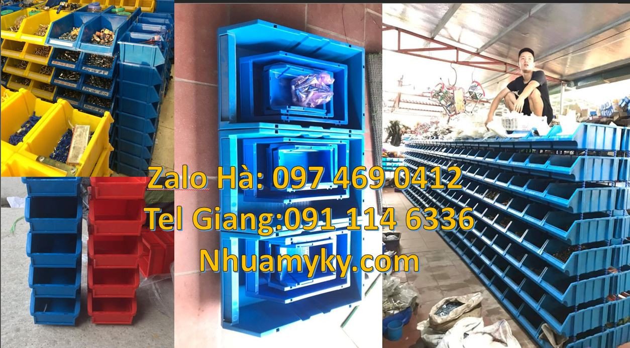 kệ đựng dụng cụ cỡ nhỏ,hộp đựng linh kiện điện tử,kệ nhựa duy tân giá
