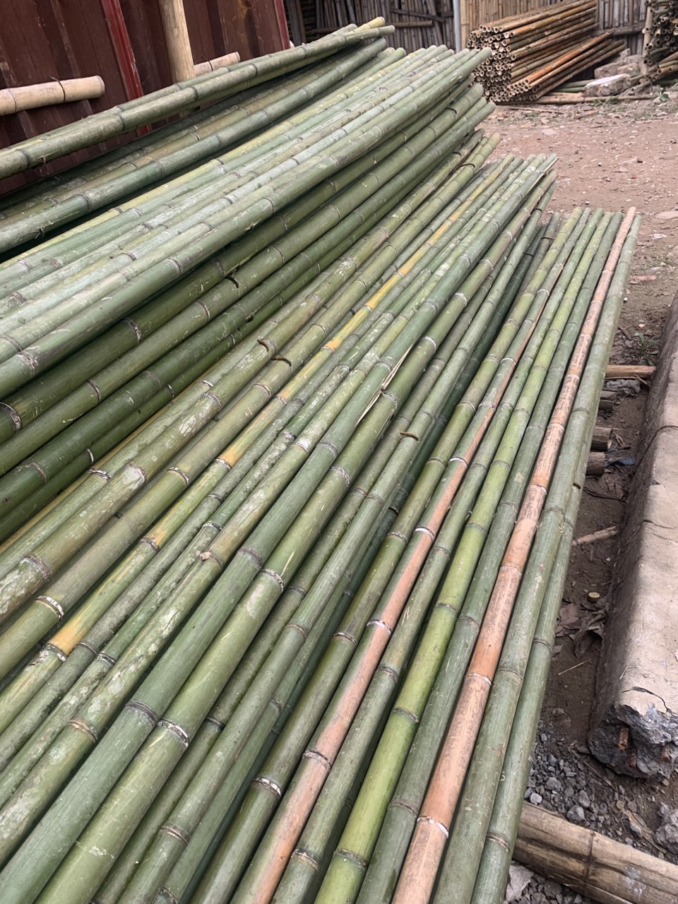 cung cấp cọc tre trúc, sạp, ván copha, ván gỗ cho các công trình