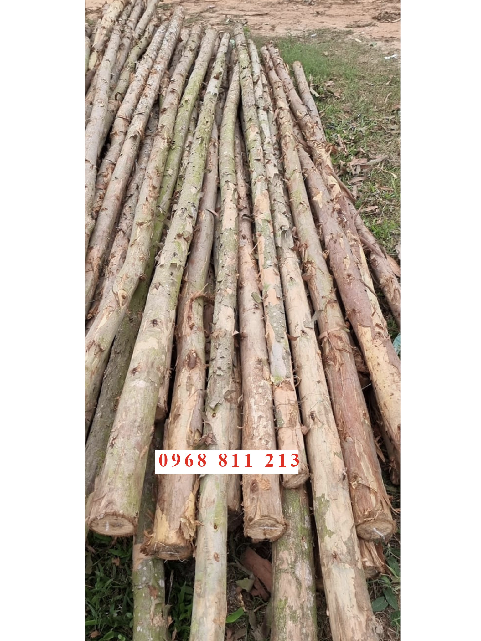 cung cấp cọc tre trúc, sạp, ván copha, ván gỗ cho các công trình