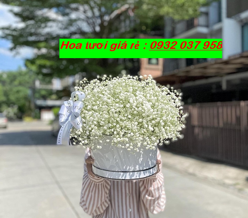 Hoa chúc mừng giá rẻ ở tân phú, tân bình
