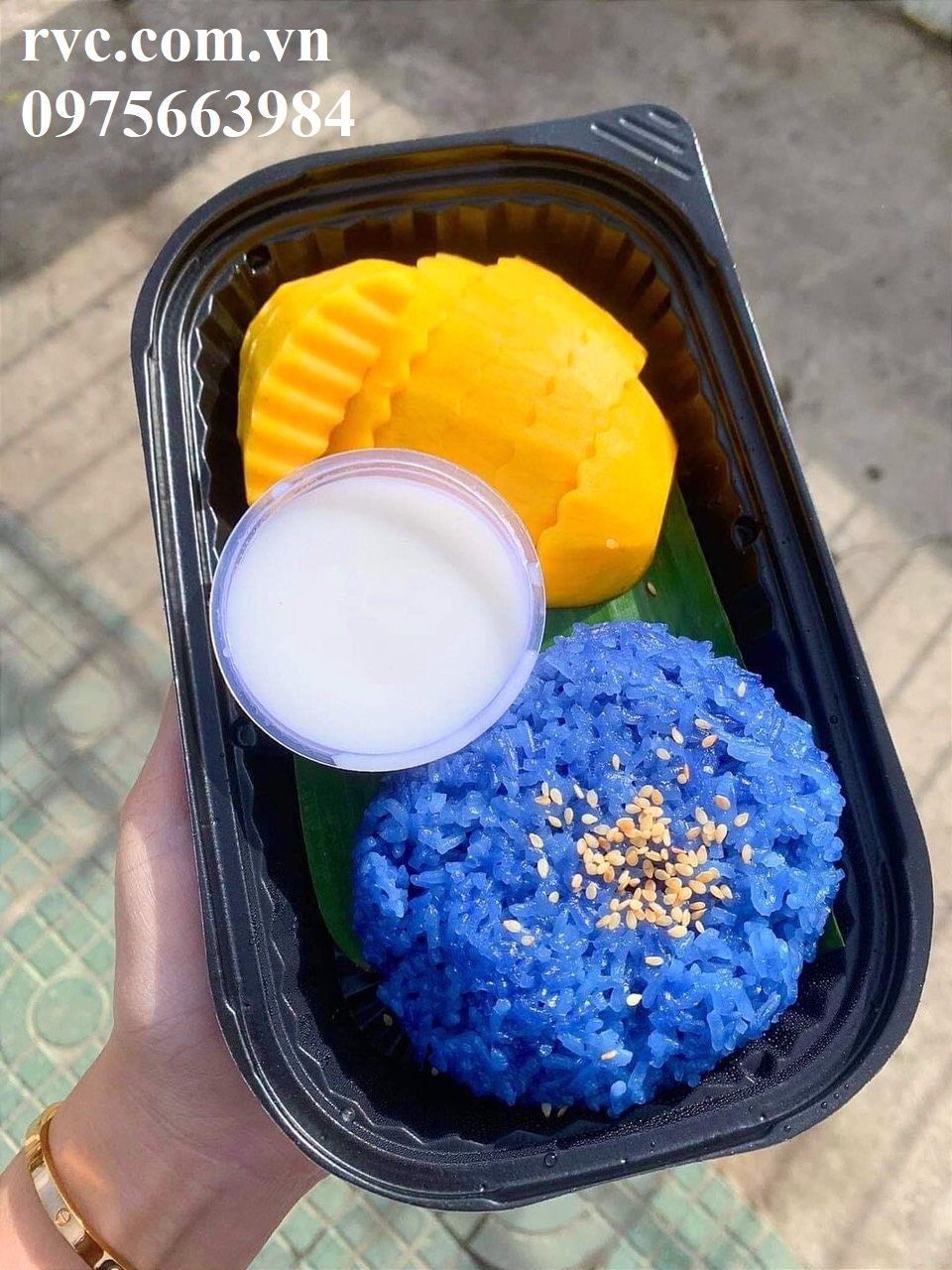 Hộp nhựa HT17 - Giải pháp bảo quản thực phẩm toàn diện