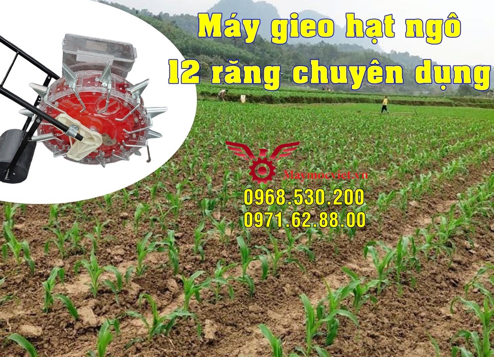 Tiết kiệm nhân công nhờ máy gieo hạt đa chức năng