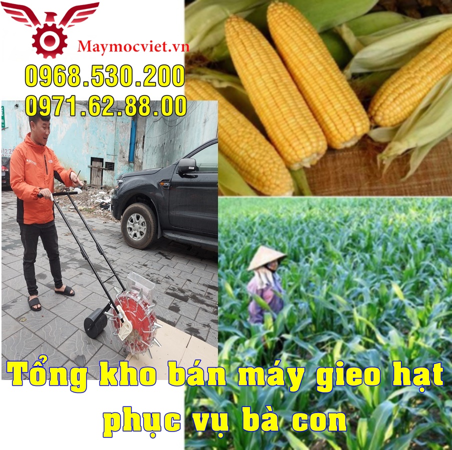 Tiết kiệm nhân công nhờ máy gieo hạt đa chức năng