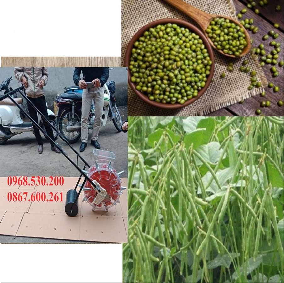 Tiết kiệm nhân công nhờ máy gieo hạt đa chức năng