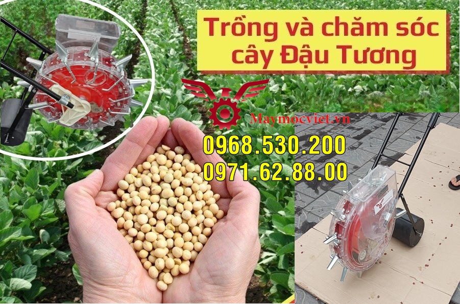 Tiết kiệm nhân công nhờ máy gieo hạt đa chức năng