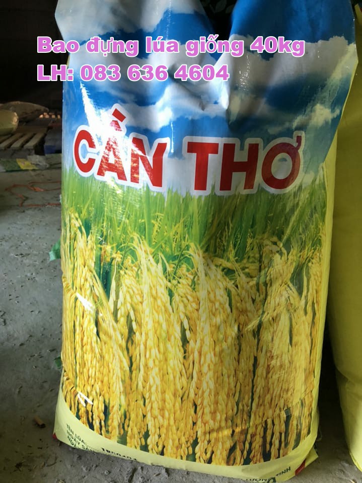 Bao lúa giống chất lượng cho mùa vàng bội thu