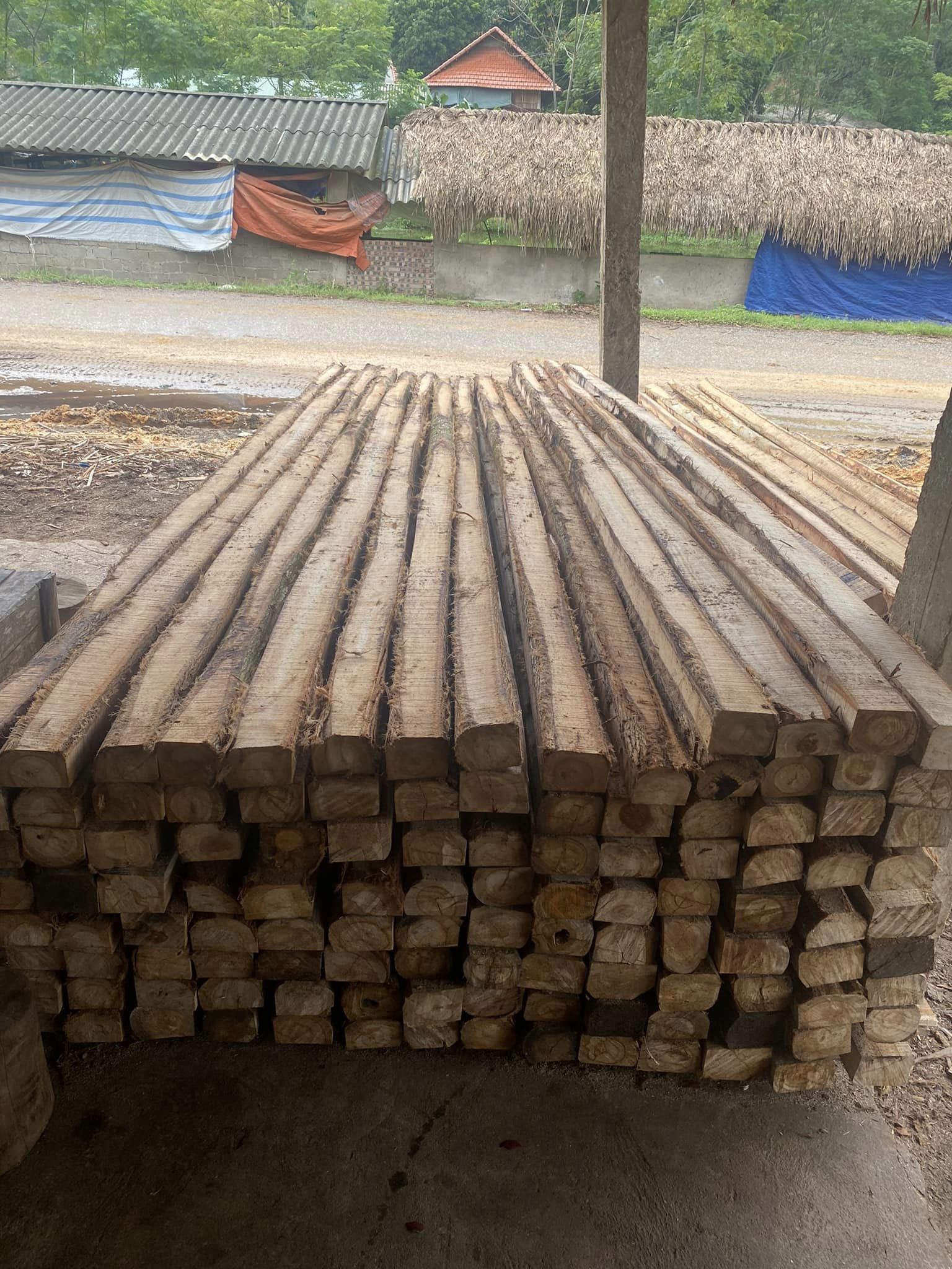 ván gỗ, ván copha, cây chống bạch đàn, thang xà gồ