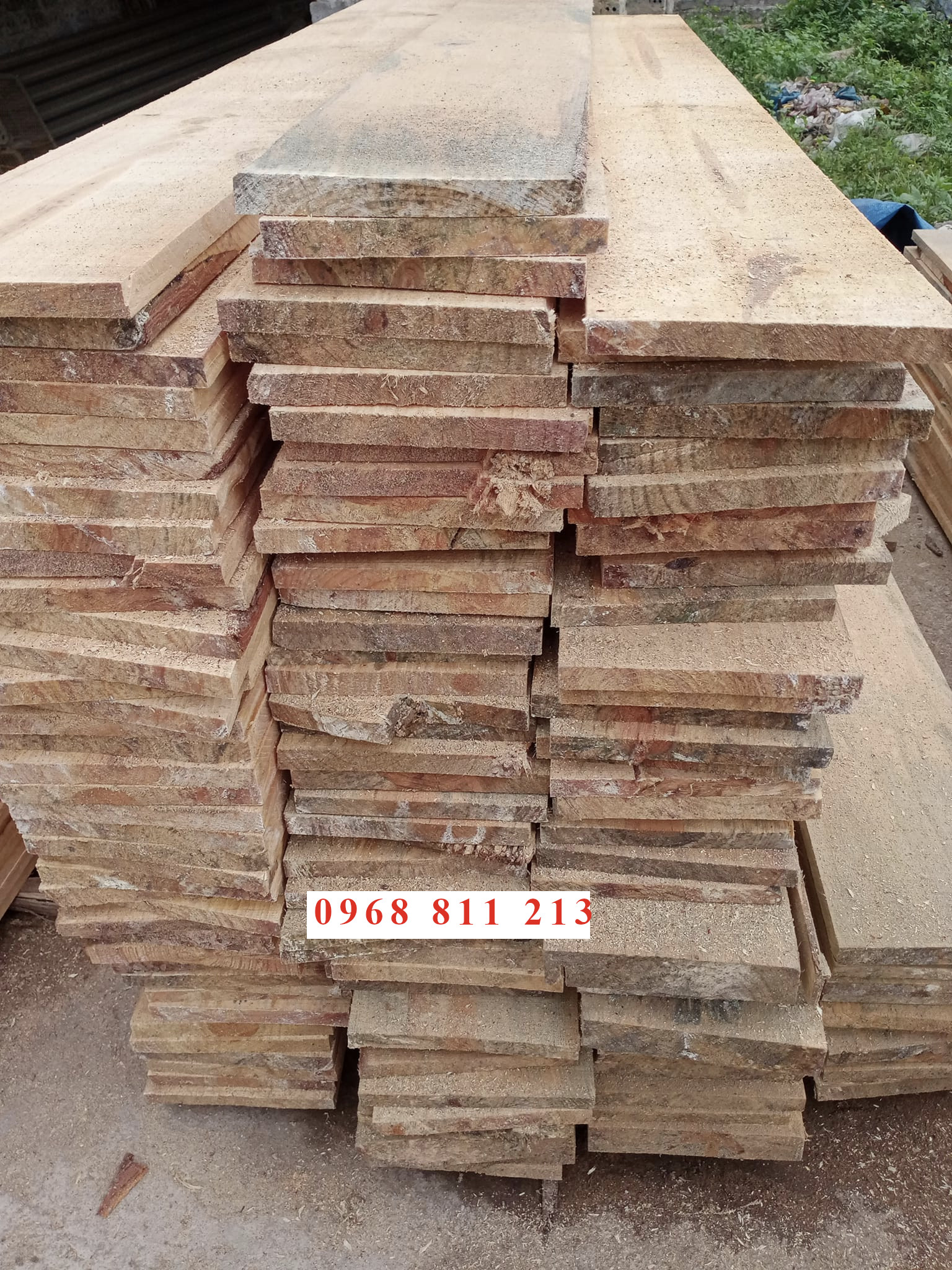 ván gỗ, ván copha, cây chống bạch đàn, thang xà gồ