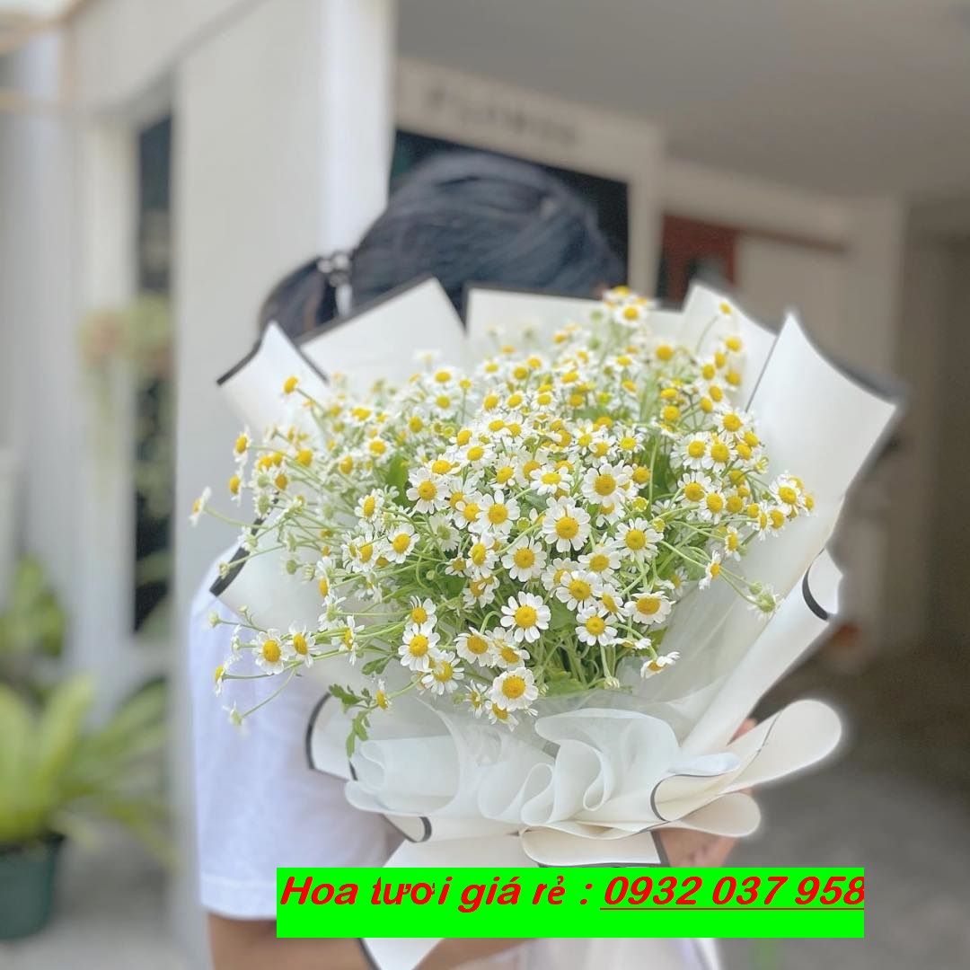 Hoa chúc mừng giá rẻ quận tân bình , tân phú
