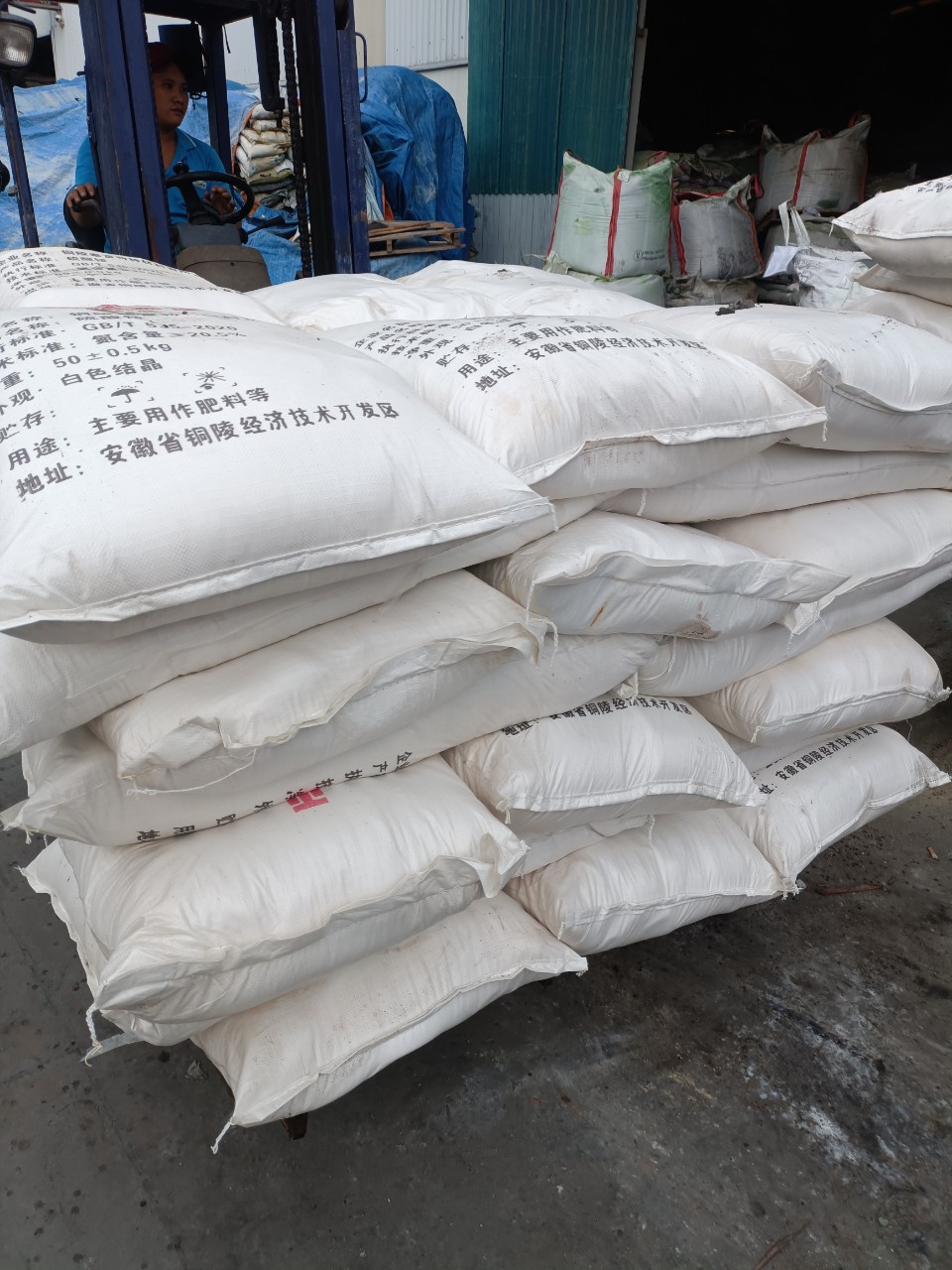 Phân bón SA bột trắng dùng trong sản xuất nông nghiệp