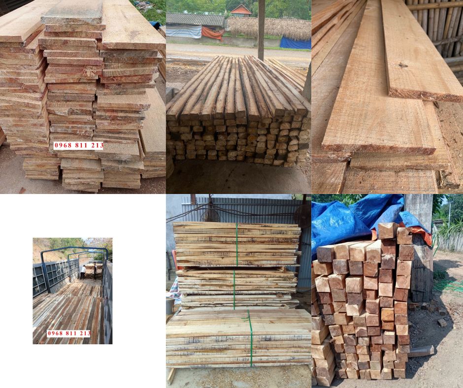 VÁN GỖ THÔNG KEO, VÁN COPHA, CÂY CHỐNG BẠCH ĐÀN, THANH XÀ GỒ