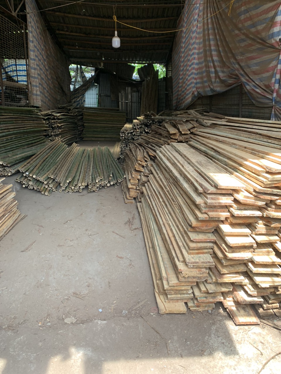 Chuyên cung cấp và sản xuất sạp tre trúc, ván copha , ván gỗ
