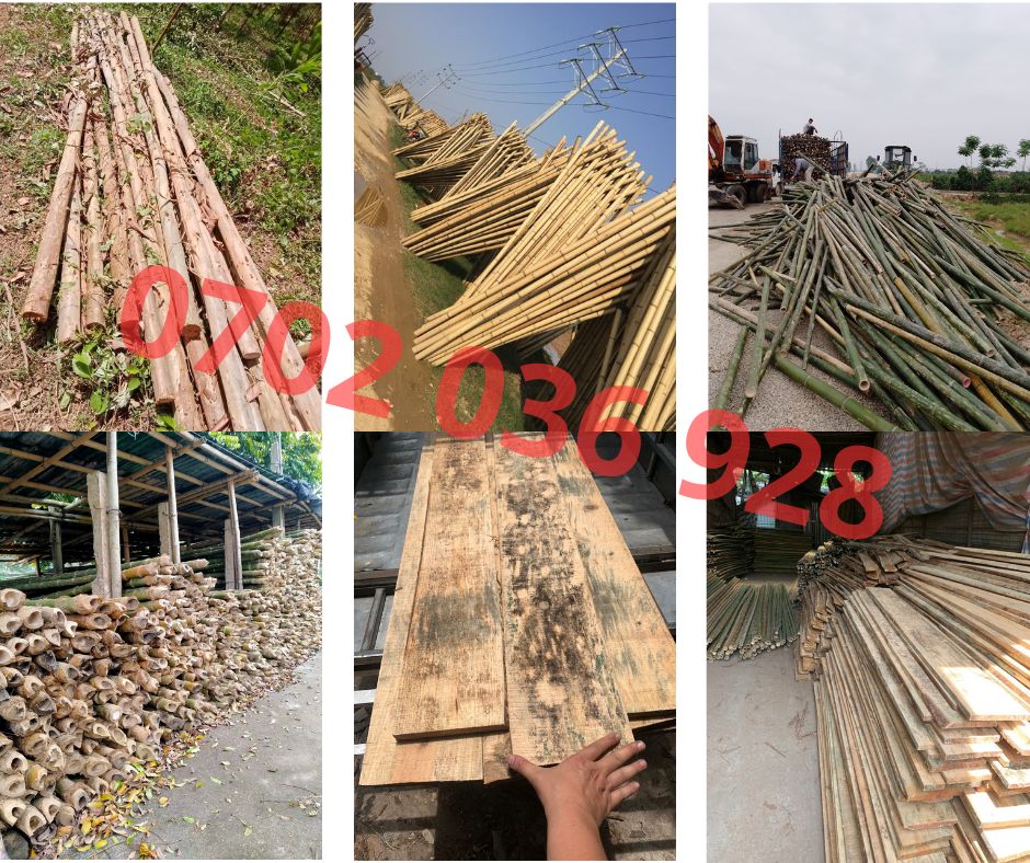 chuyên hàng ván gỗ ván copha, cọc tre cọc trúc, sạp tre sạp trúc