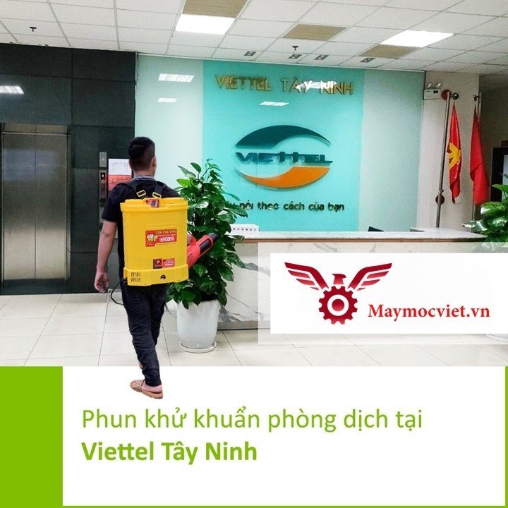 Phương pháp phun diệt muỗi hiệu quả cho Bưu Điện Nhà Nước