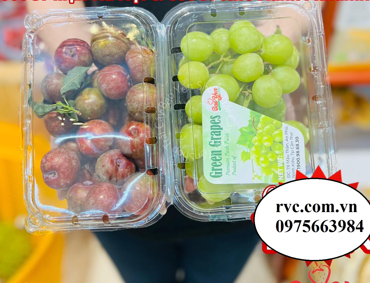 Hộp nhựa trái cây 500g và những công dụng tuyệt vời