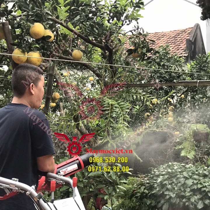 Máy phun thuốc trừ sâu bệnh cho Đầm Sen số 1 Thế Giới