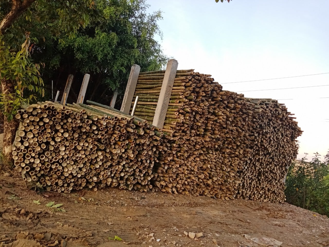 chuyên hàng ván gỗ ván copha, cọc tre cọc trúc, sạp tre sạp trúc
