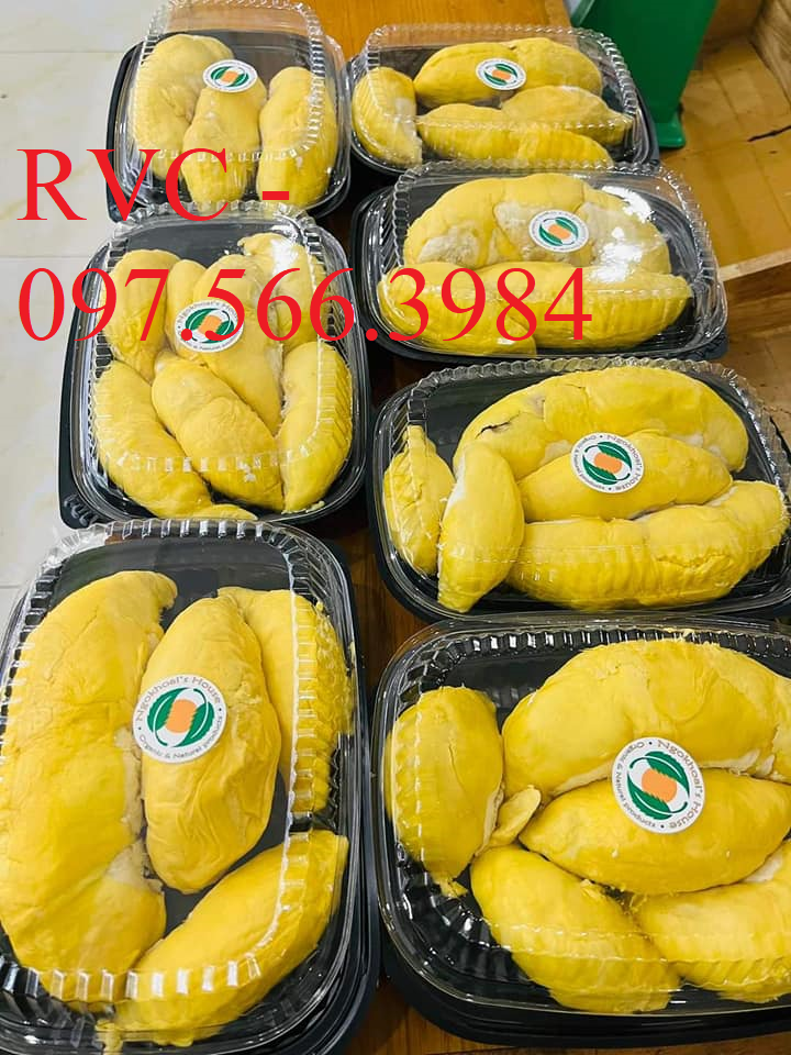 Công ty chuyên cung cấp hộp nhựa đựng trái cây cắt sẵn