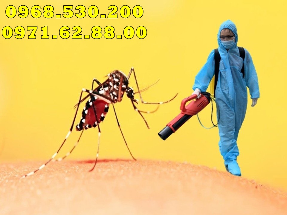 Cách phun và tiêu diệt kiến đơn giản tại nhà - Turbo BA-6