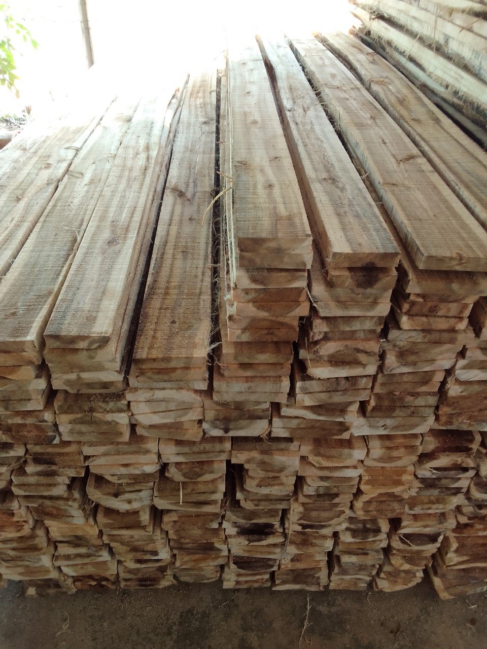 chuyên cung cấp và sản xuất sạp tre trúc, ván gỗ thông gỗ keo