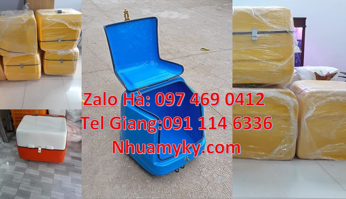 Bán thùng giao hàng tiếp thị,thùng giao hàng giữ nhiệt sau xe máy giá