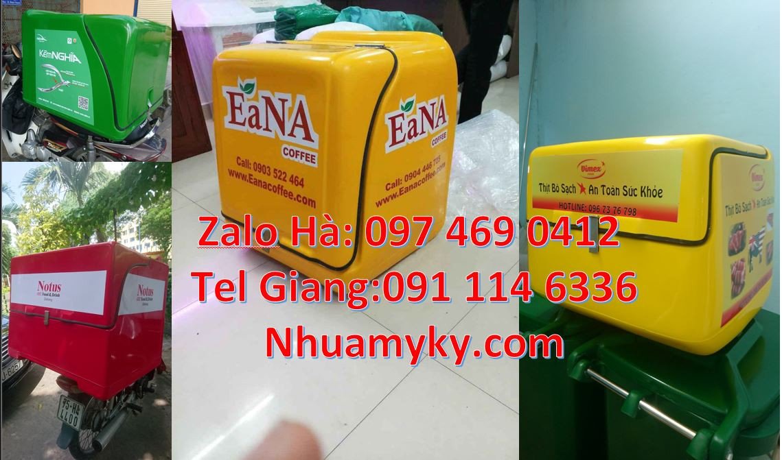 Bán thùng giao hàng tiếp thị,thùng giao hàng giữ nhiệt sau xe máy giá