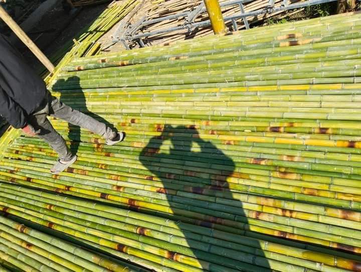 chuyên cung cấp sạp tre trúc, xả hàng sạp 2m số lượng lớn